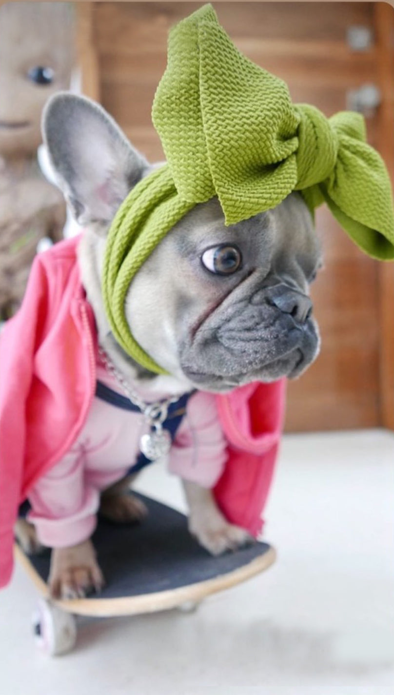 Frenchiestore Pet Head Bow | Green Apple, Frenchie Dog, French Bulldog pet products