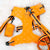 Веганский университетский набор «Оранжевая тыква» | Frenchiestore, Frenchie Dog, товары для домашних животных французского бульдога