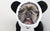 حزمة هودي الأذن الفرنسية للبنات الإصدار 2 | Frenchiestore ، Frenchie Dog ، منتجات الحيوانات الأليفة الفرنسية البلدغ