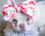 القوس رأس الحيوانات الأليفة Frenchiestore | الهوس الوردي ، Frenchie Dog ، منتجات الحيوانات الأليفة الفرنسية من بلدغ