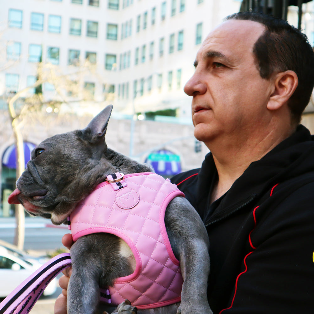 Frenchiestore Neck Adjustable Vegan Leather Health Harness | Pink Varsity, Frenchie Dog, French Bulldog pet products