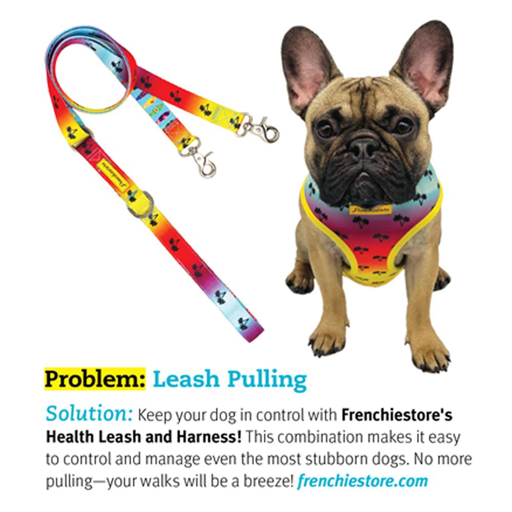 Frenchiestore Multiple Configurations Health Leash | California Dreamin', Frenchie Dog, French Bulldog pet products