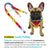Frenchiestore Multiple Configurations Health Leash | California Dreamin ', Frenchie Dog, prodotti per animali domestici Bulldog francese