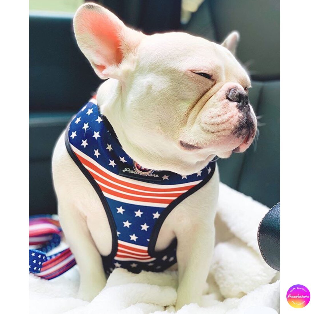 Frenchiestore Reversible Dog Health Harness | All American, Frenchie Dog, French Bulldog pet products