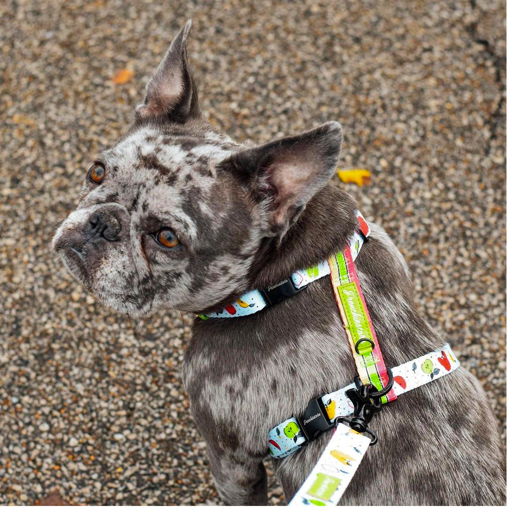 Frenchiestore Strap Dog Harness | Apple, Frenchie Dog, French Bulldog pet products