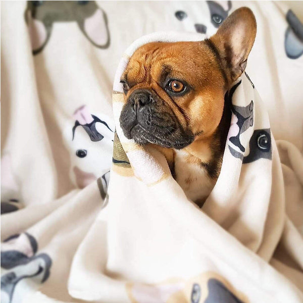 French bulldog fleece blanket hot sale