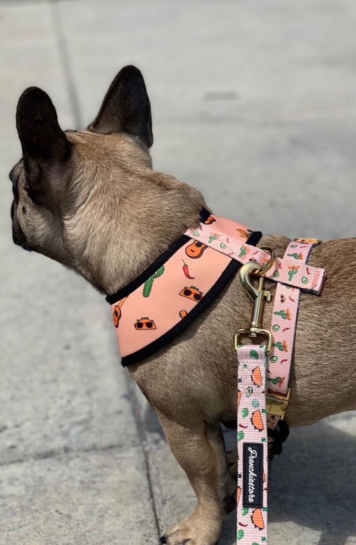 Frenchiestore Luxury Dog Leash | Pink Lemonade