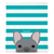 Blue French Bulldog on Teal Stripes | Frenchie Blanket, Frenchie Dog, French Bulldog pet products