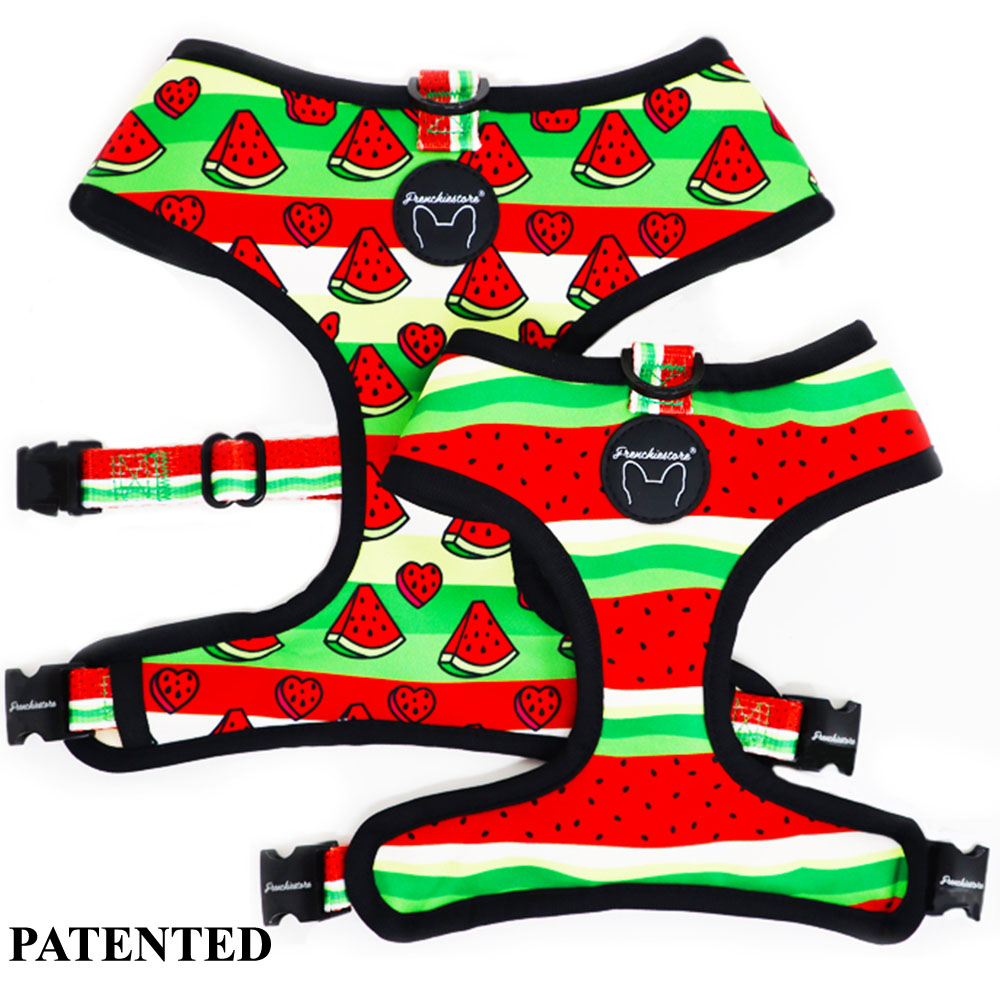 Watermelon 2024 dog harness