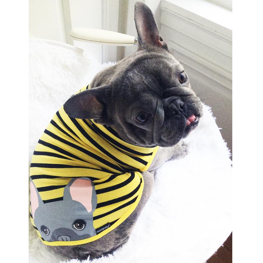 Frenchie Shirt | Frenchiestore | Blue French Bulldog in Bumblebee, Frenchie Dog, French Bulldog pet products