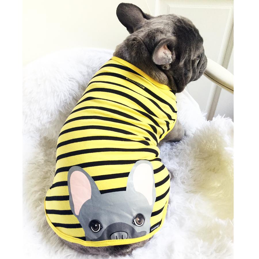 Frenchie Shirt | Frenchiestore | Blue French Bulldog in Bumblebee, Frenchie Dog, French Bulldog pet products