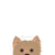 Наклейка с собакой Йорки | Frenchiestore | Декаль с изображением йоркширского терьера, французская собака, зоотовары для французского бульдога